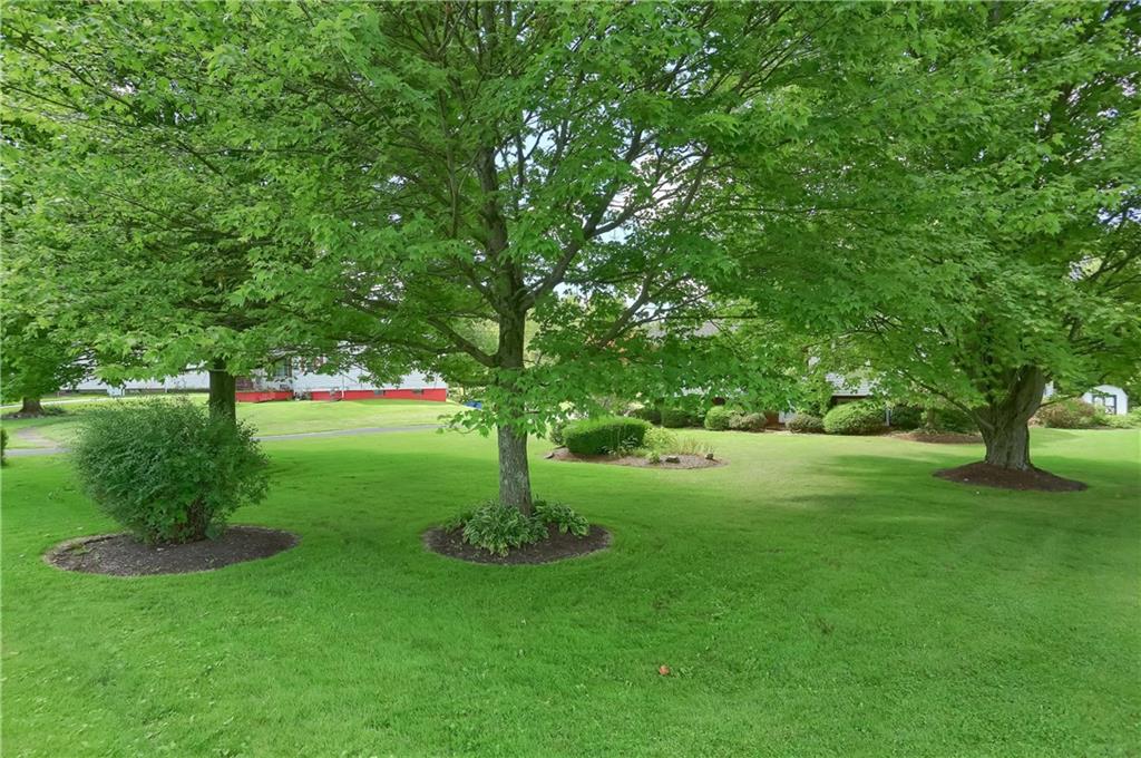 2702 Old Pittsburgh Road New Castle, PA 16101 - Photo 9 of 20 a huge green field with lots of trees
