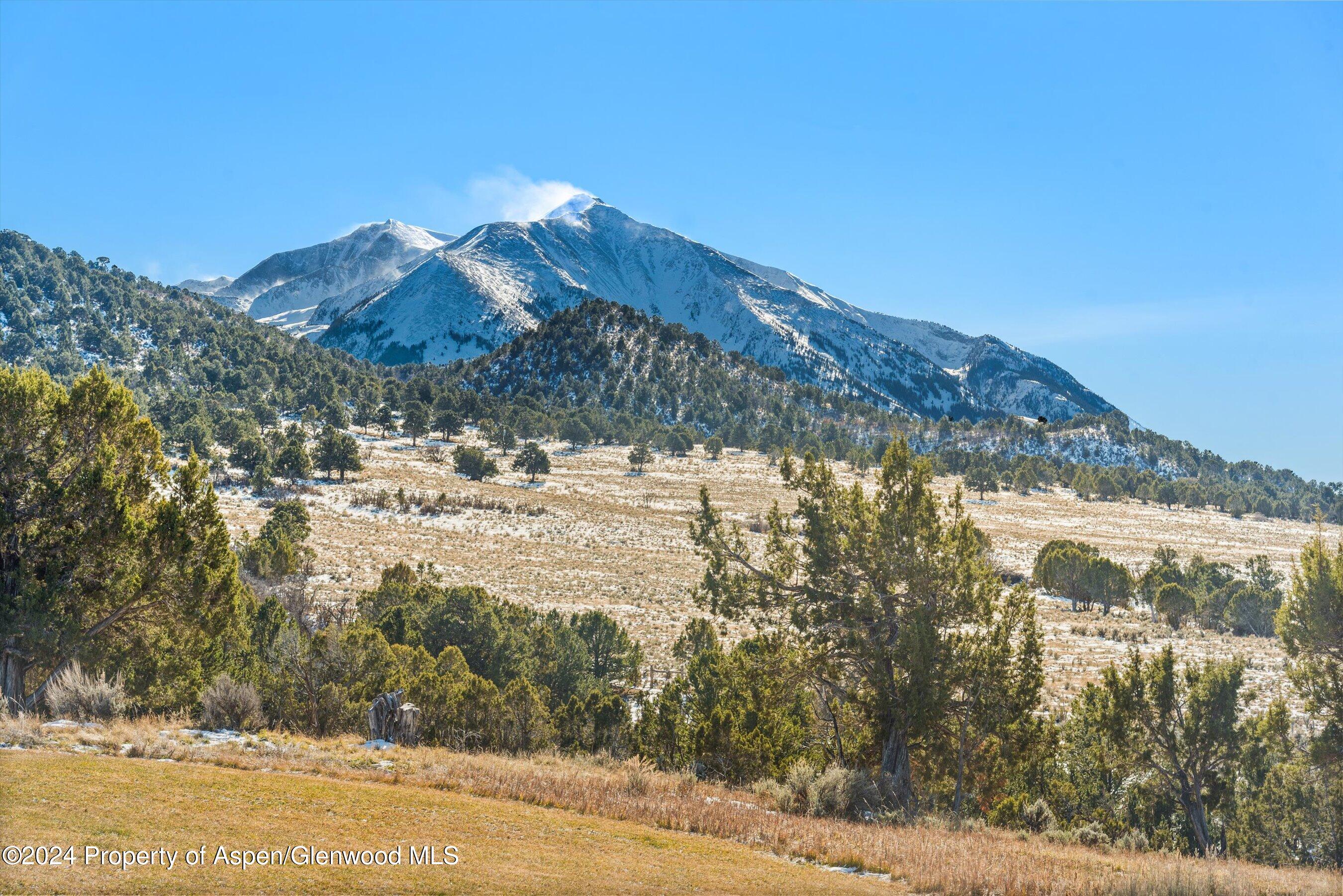 425 Stark Mesa Road Carbondale, CO 81623 - Photo 15 of 79 10-425StarkMesa_241120010