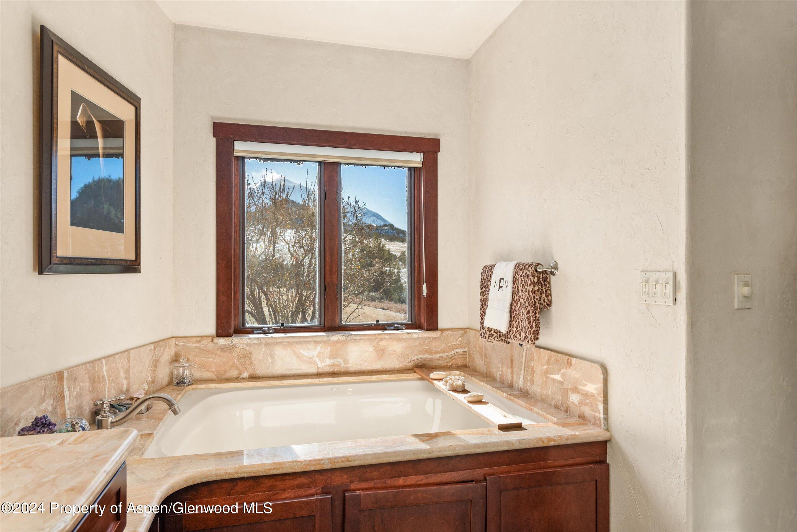 425 Stark Mesa Road Carbondale, CO 81623 - Photo 58 of 79 61-425StarkMesa_241120062