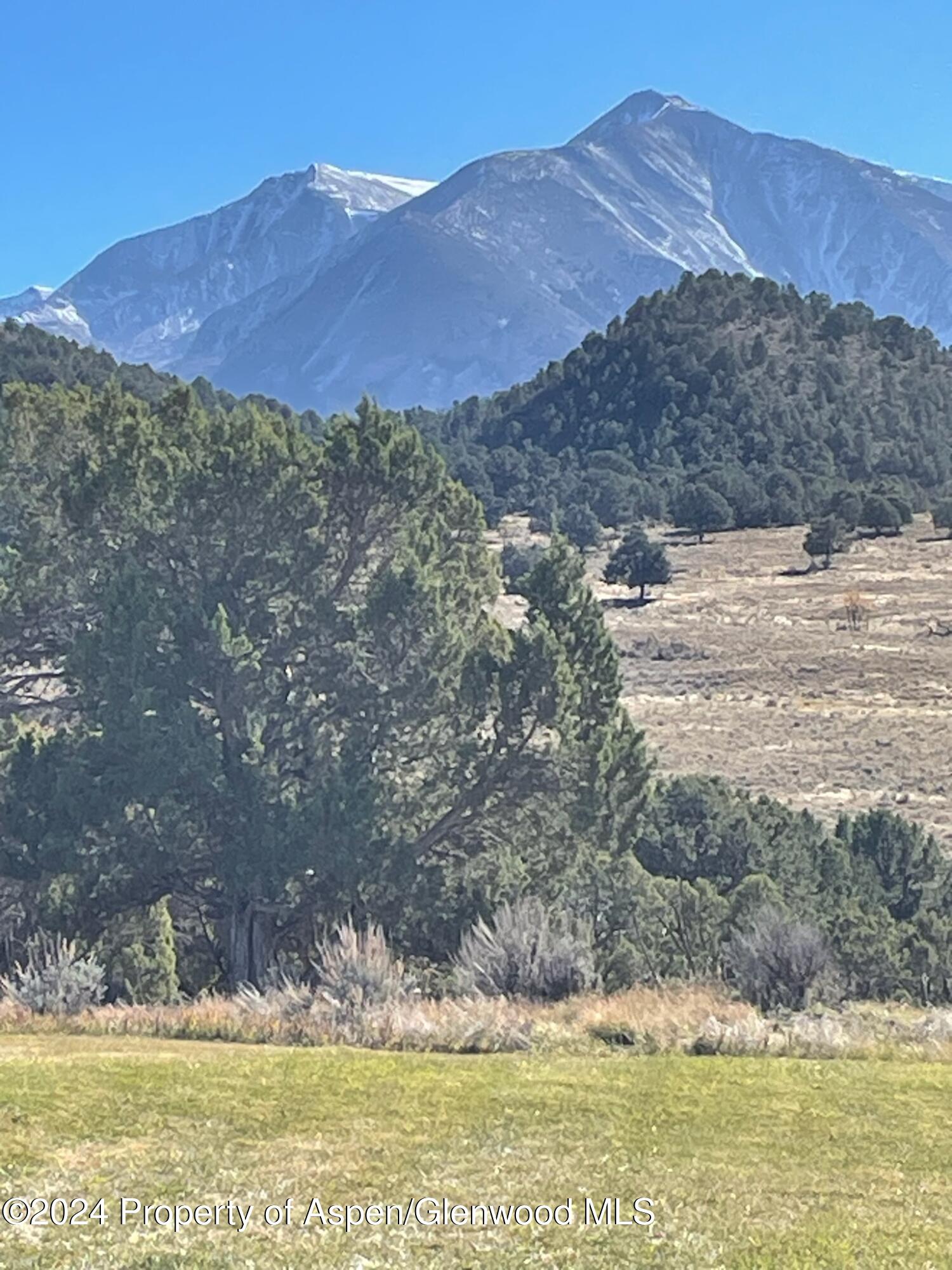 425 Stark Mesa Road Carbondale, CO 81623 - Photo 6 of 79 IMG_20241118_114530
