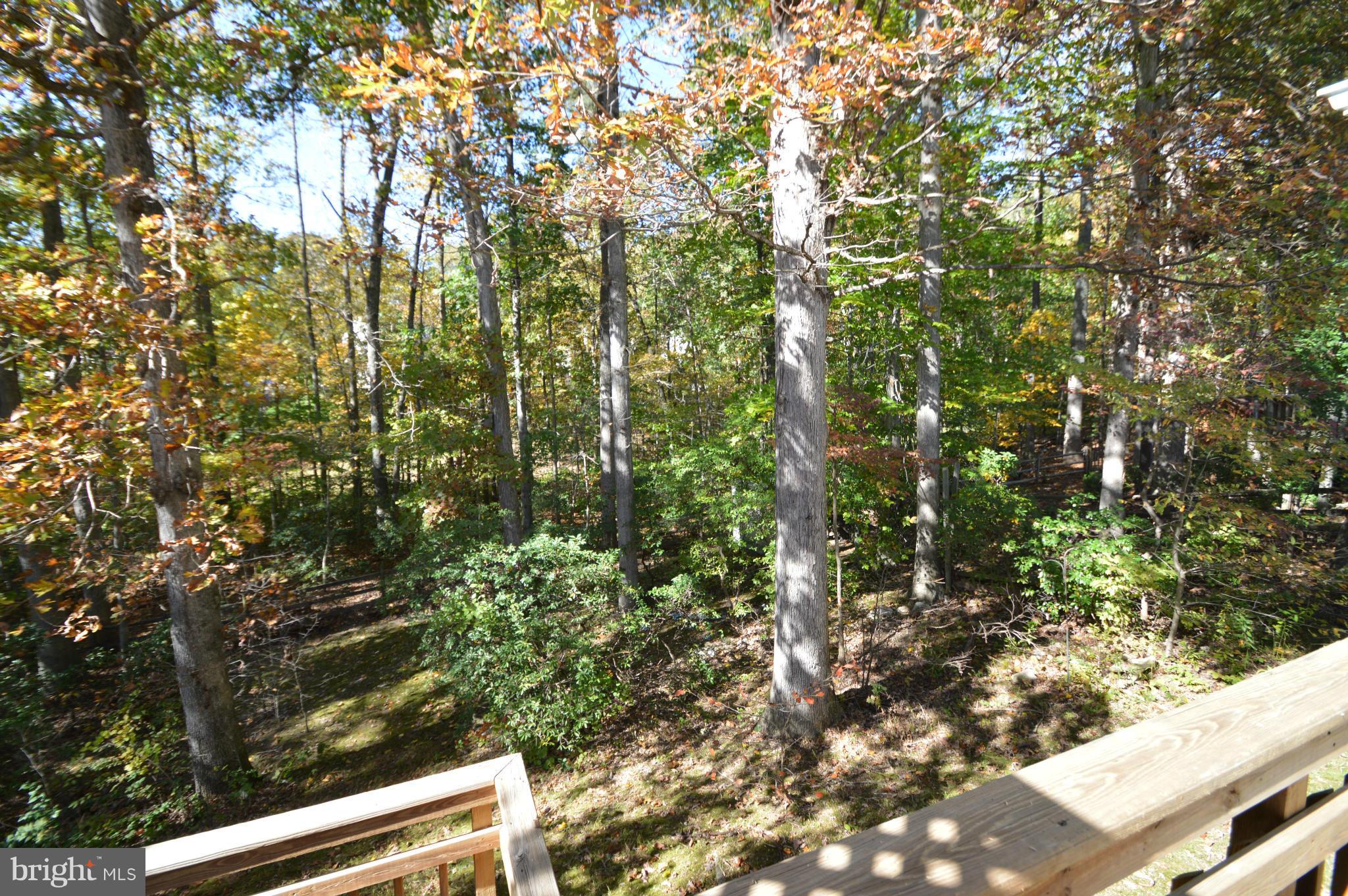 8014 Diving Cliff Lane Springfield, VA 22153 - Photo 18 of 19 View off Deck
