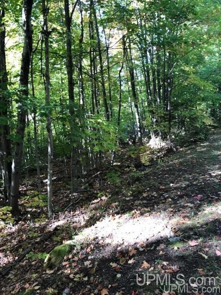 Tbd Koski Road Munising, MI 49862 - Photo 8 of 17