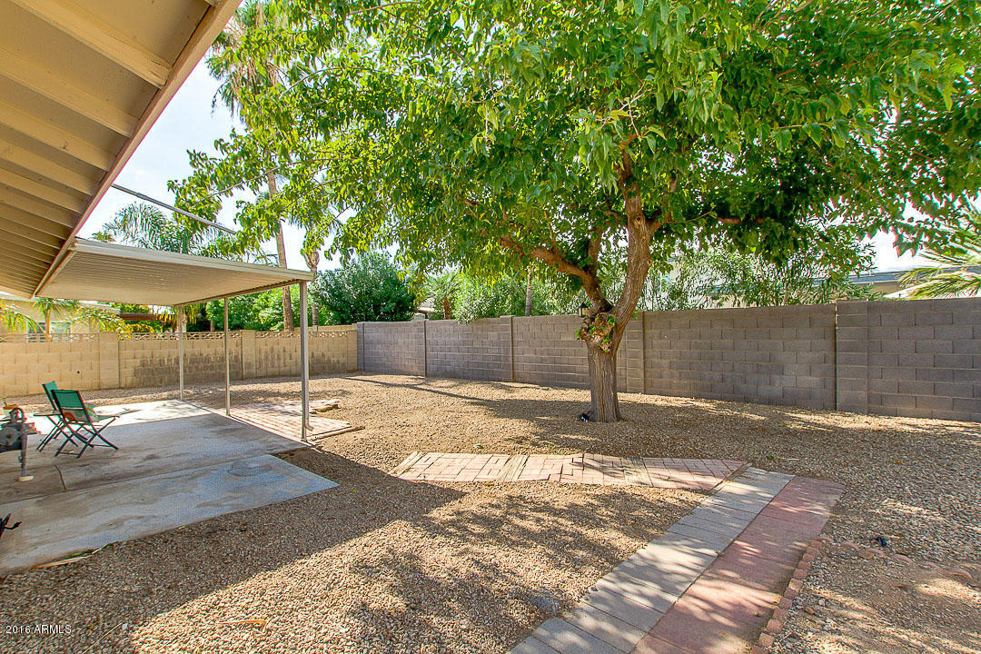 8126 East Valley View Road Scottsdale, AZ 85250 - Photo 23 of 23 Backyard