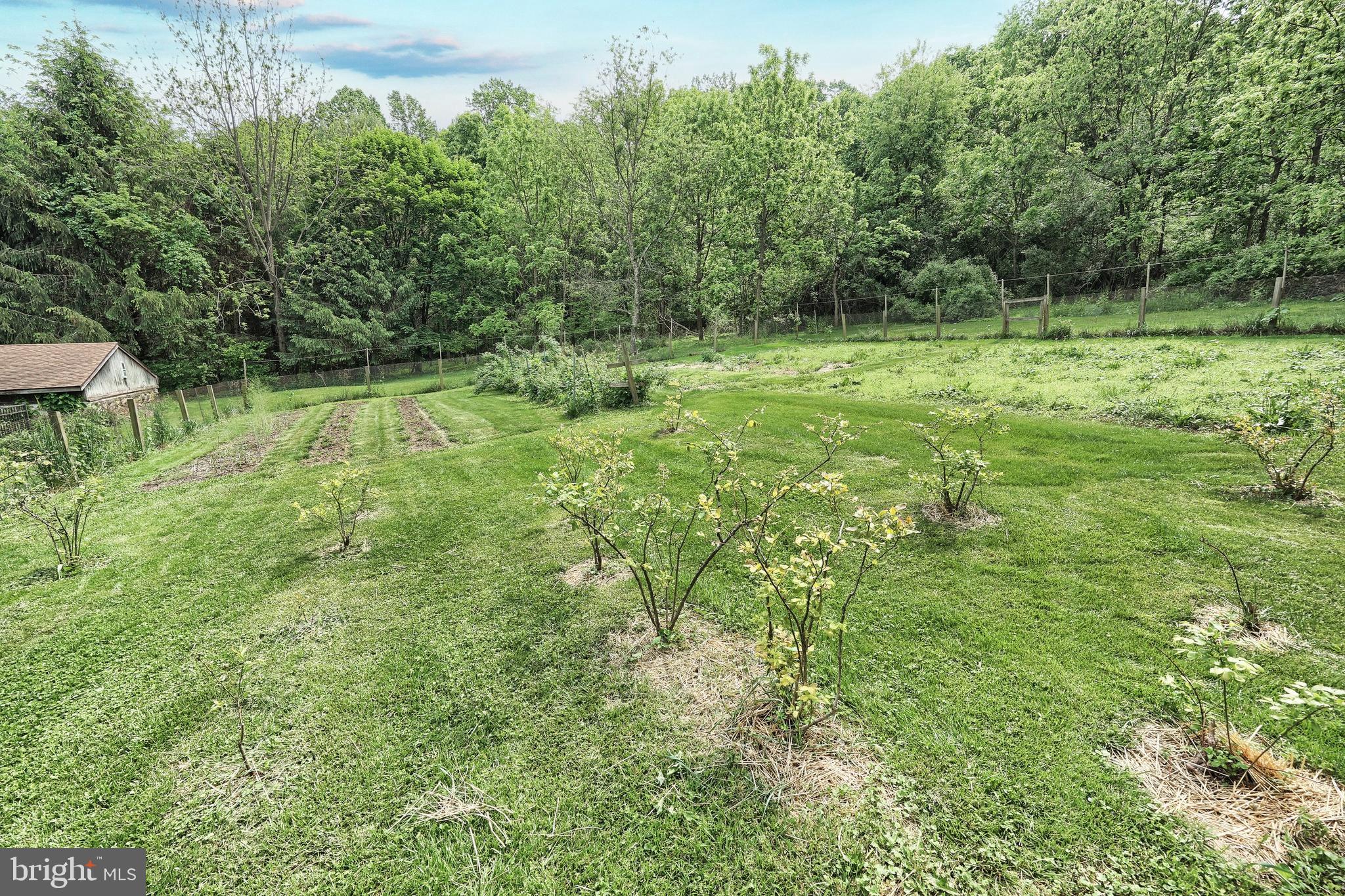 15342 Country Club Road New Freedom, PA 17349 - Photo 50 of 67 Gallery Image 50