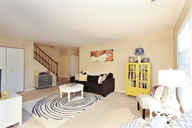 420 St Johns Road, Unit E Woodstock, IL 60098 - Photo 4 of 10
