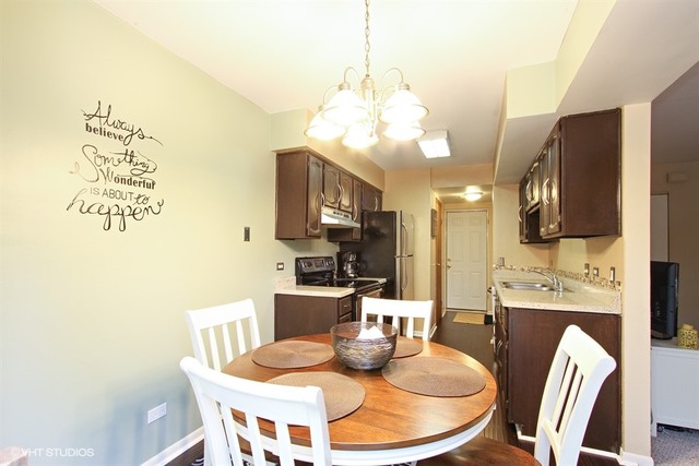 420 St Johns Road, Unit E Woodstock, IL 60098 - Photo 6 of 10