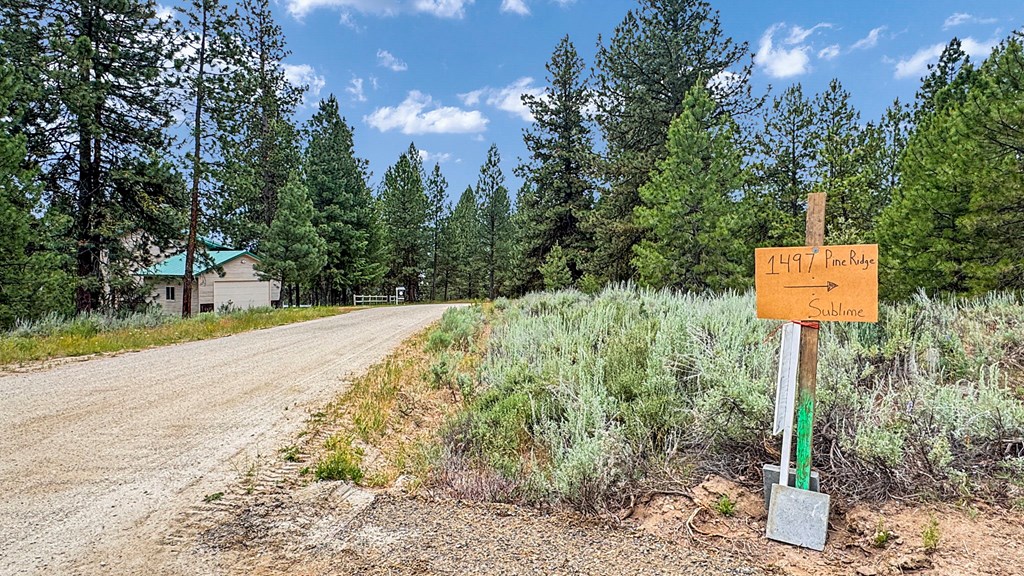 1497 Pine Ridge Drive, Unit 5 Cascade, ID 83611 - Photo 3 of 33