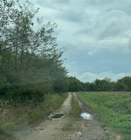 $850,000 | 10009 Northeast County Road 13004, Urich, MO 64788