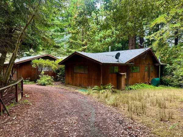 a backyard of a house with plants and large tree