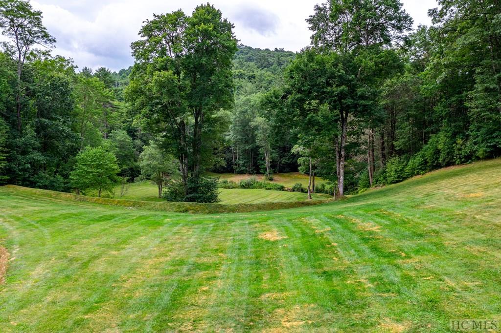 Tbd Laurel Knob Road Cashiers, NC 28717 - Photo 15 of 37 Gallery Image 15