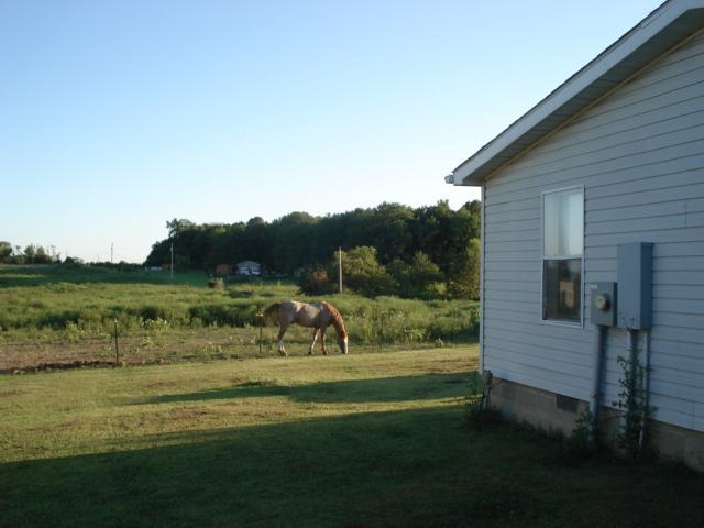 11149 Heffner Road Kingston, OH 45644 - Photo 18 of 23 Gallery Image 18