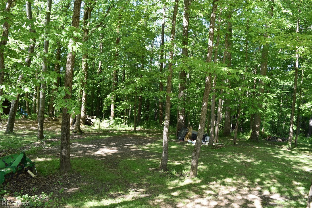 205 Stratton Lane Flushing, OH 43977 - Photo 18 of 22
