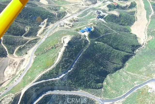 a view of a plant in a yard