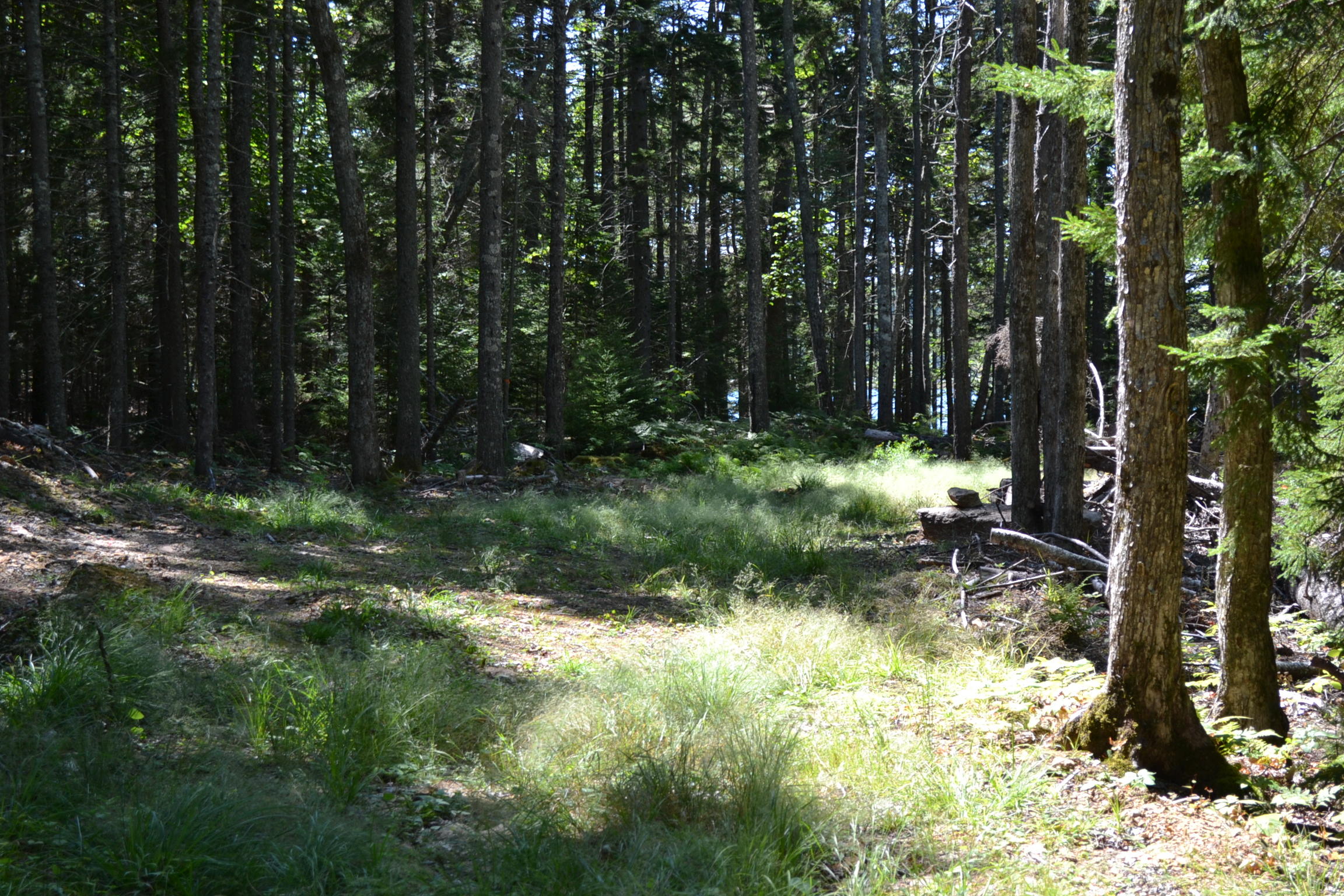 0 Pemaquid Harbor Road Pemaquid, ME 04558 - Photo 7 of 16 DSC_0695