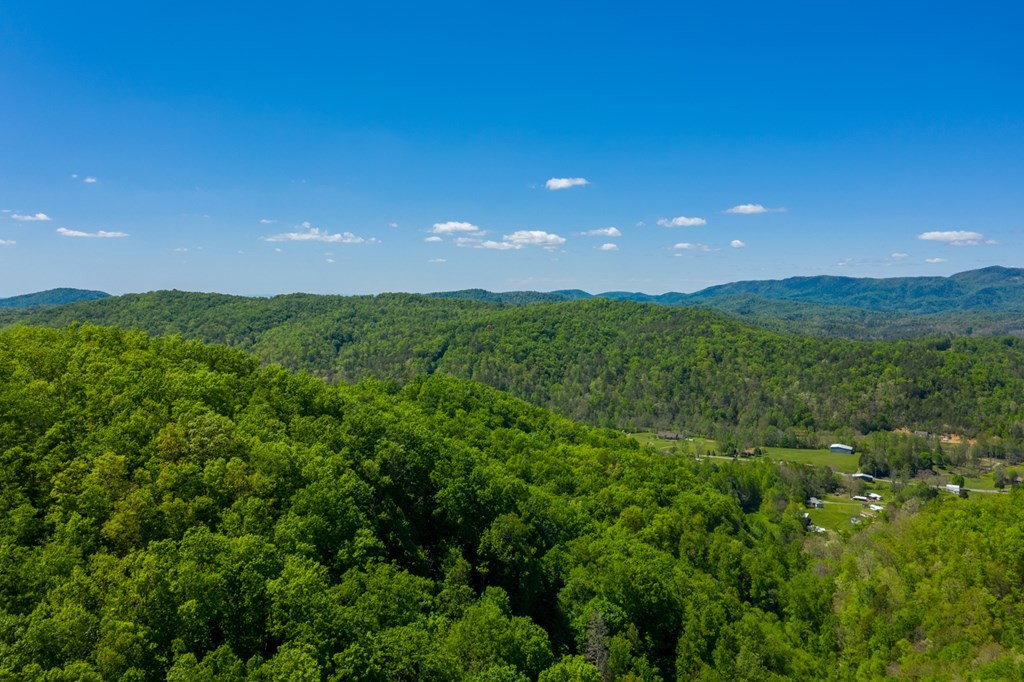 0 Henry Town Road Sevierville, TN 37876 - Photo 15 of 38 Gallery Image 15