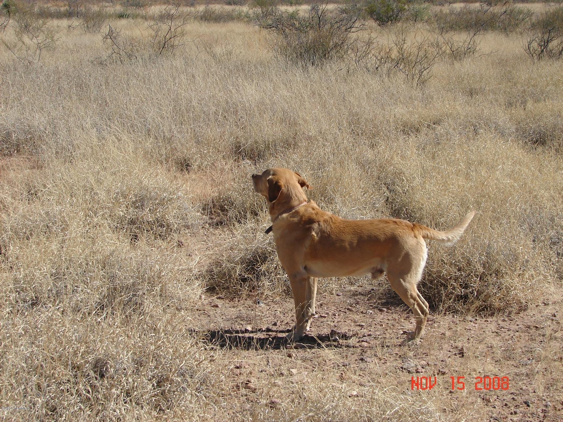 Davis Ranch Road, Unit 7 McNeal, AZ 85617 - Photo 14 of 15