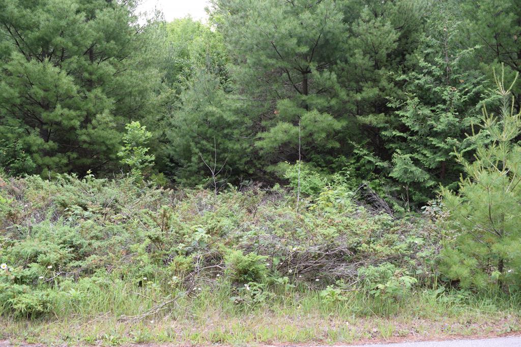 0 West Pine Ridge Circle Baileys Harbor, WI 54202 - Photo 3 of 3