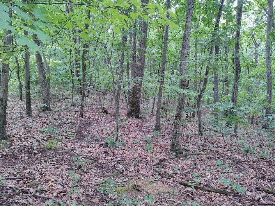 Lot 36 Middle Ridge Road, Unit 36 Hesston, PA 16647 - Photo 4 of 8 Gallery Image 4