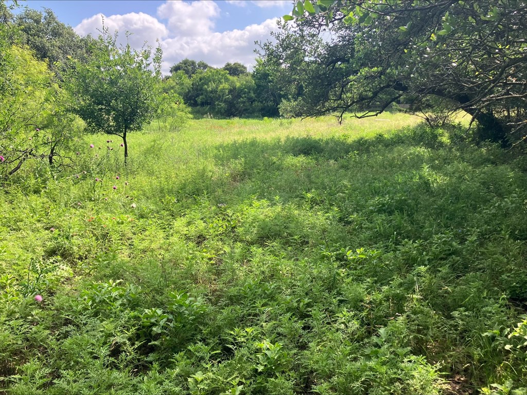 4605 West Ranch Road Mason, TX 76856 - Photo 14 of 26