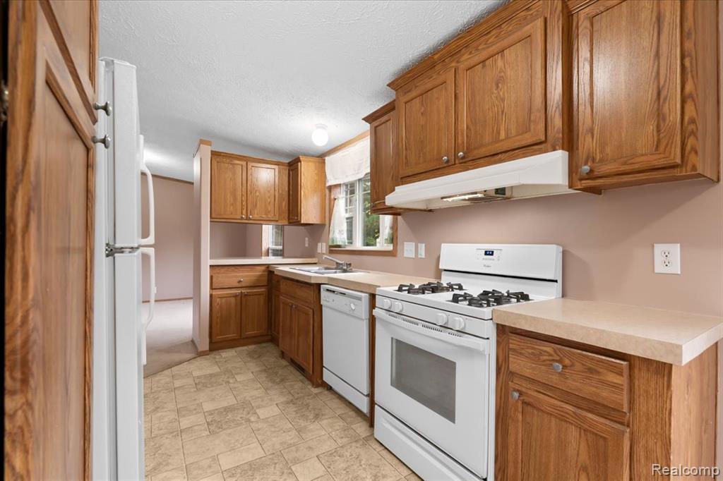 4477 Single Tree Drive Howell, MI 48843 - Photo 9 of 26 Gallery Image 9