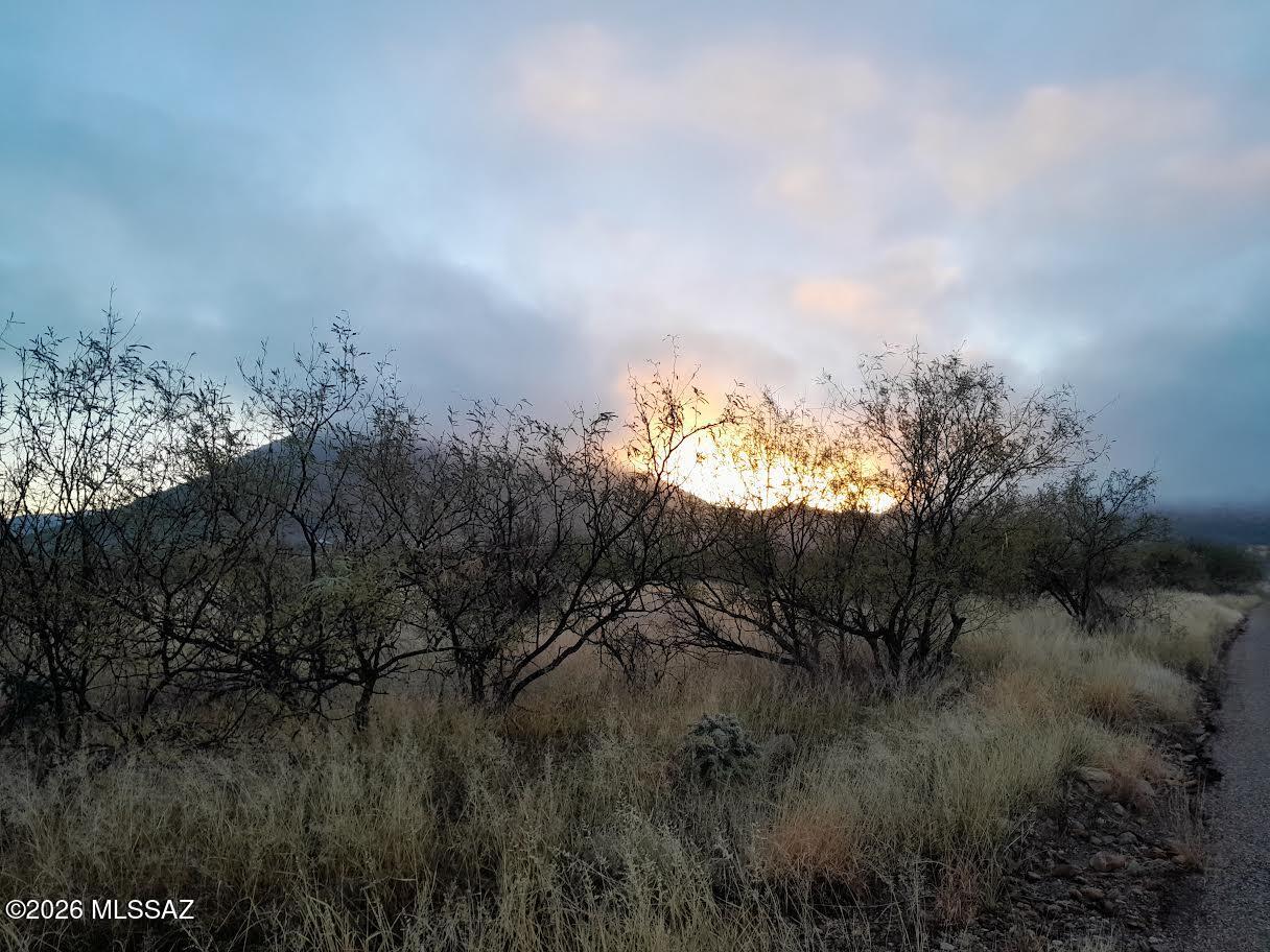 1867 Calle Caracol Rio Rico, AZ 85648 - Photo 14 of 24