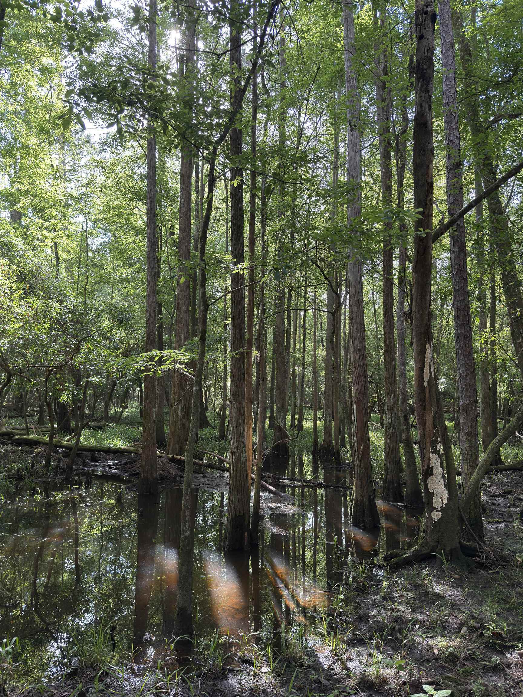 87 County Road 87 Elberta, AL 36530 - Photo 48 of 66