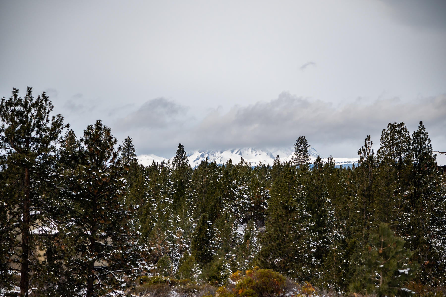 60872 River Rim Drive Bend, OR 97702 - Photo 16 of 16 DSC_4254