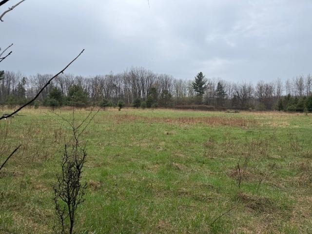 0 Gillings Road Prescott, MI 48756 - Photo 3 of 6