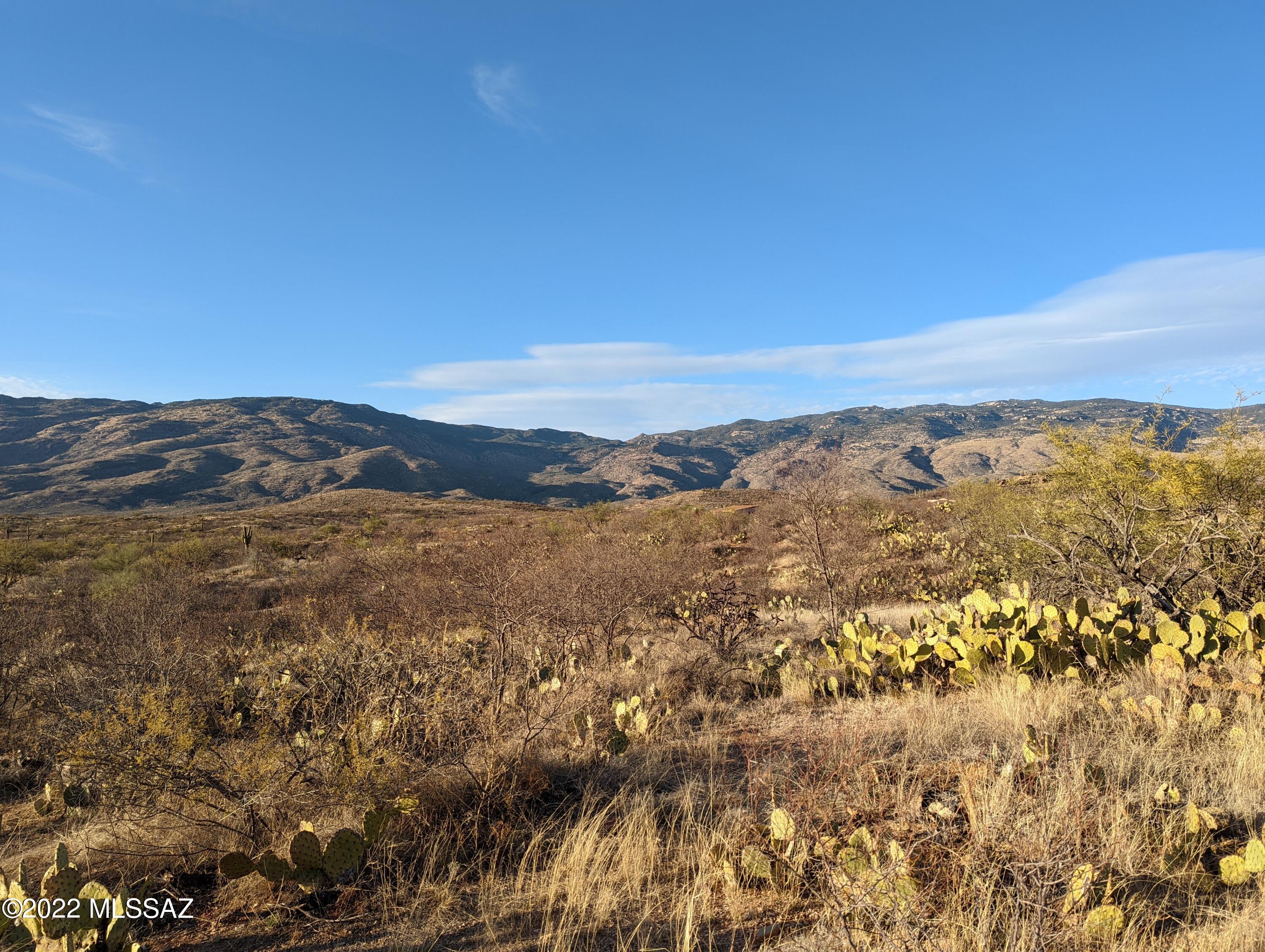 1 South Pistol Hill Road Vail, AZ 85641 - Photo 9 of 17