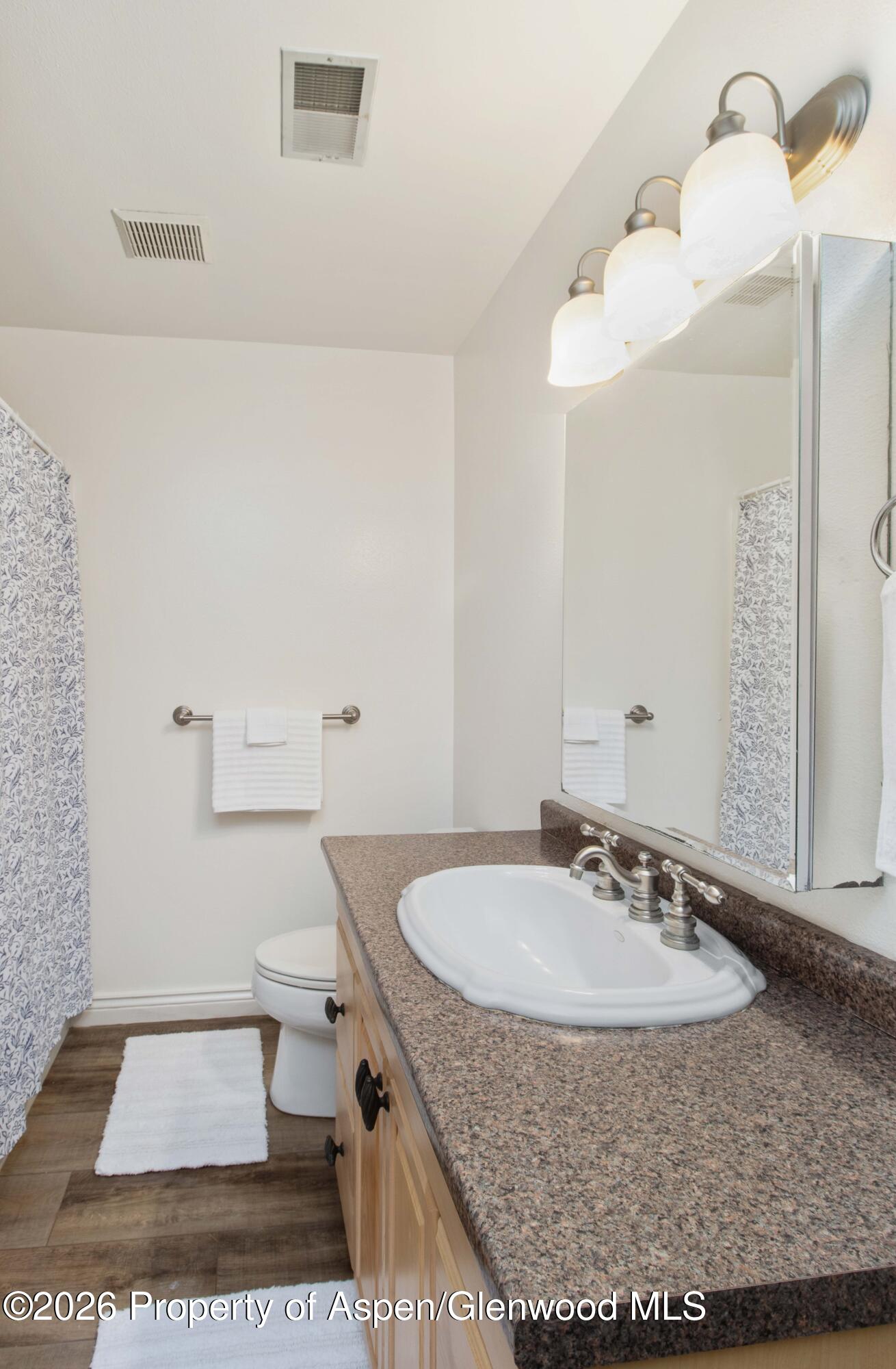 1441 Jays Avenue Rifle, CO 81650 - Photo 12 of 28 a bathroom with a sink a toilet and mirror