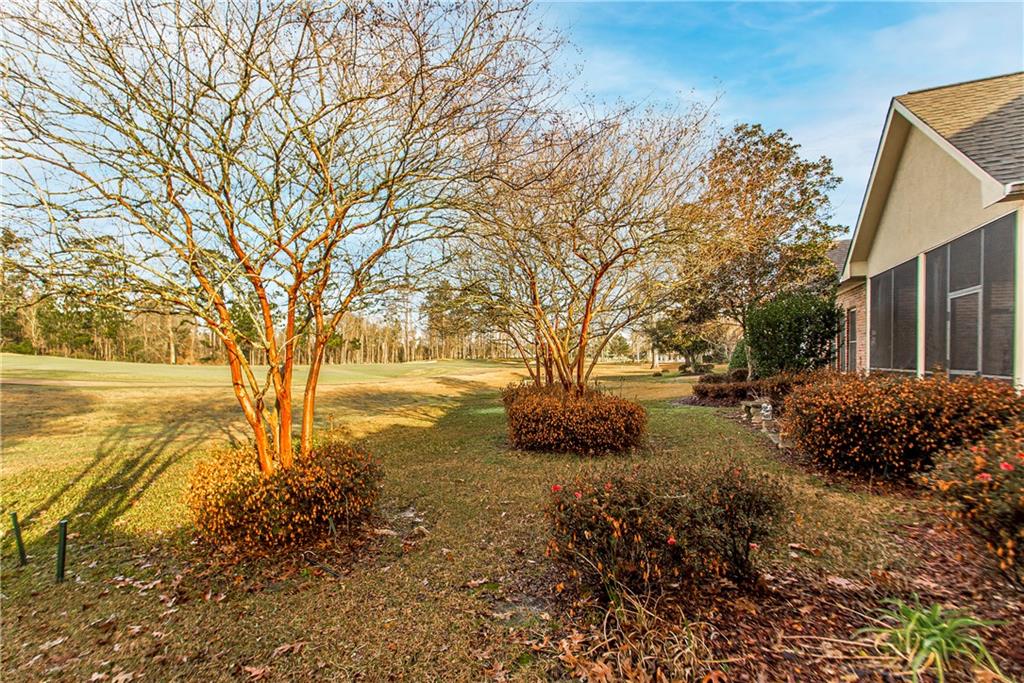 23775 Monarch Point Springfield, LA 70462 - Photo 20 of 22