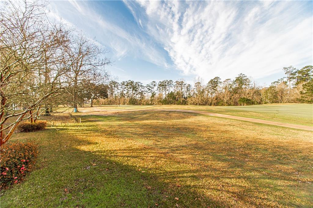 23775 Monarch Point Springfield, LA 70462 - Photo 21 of 22