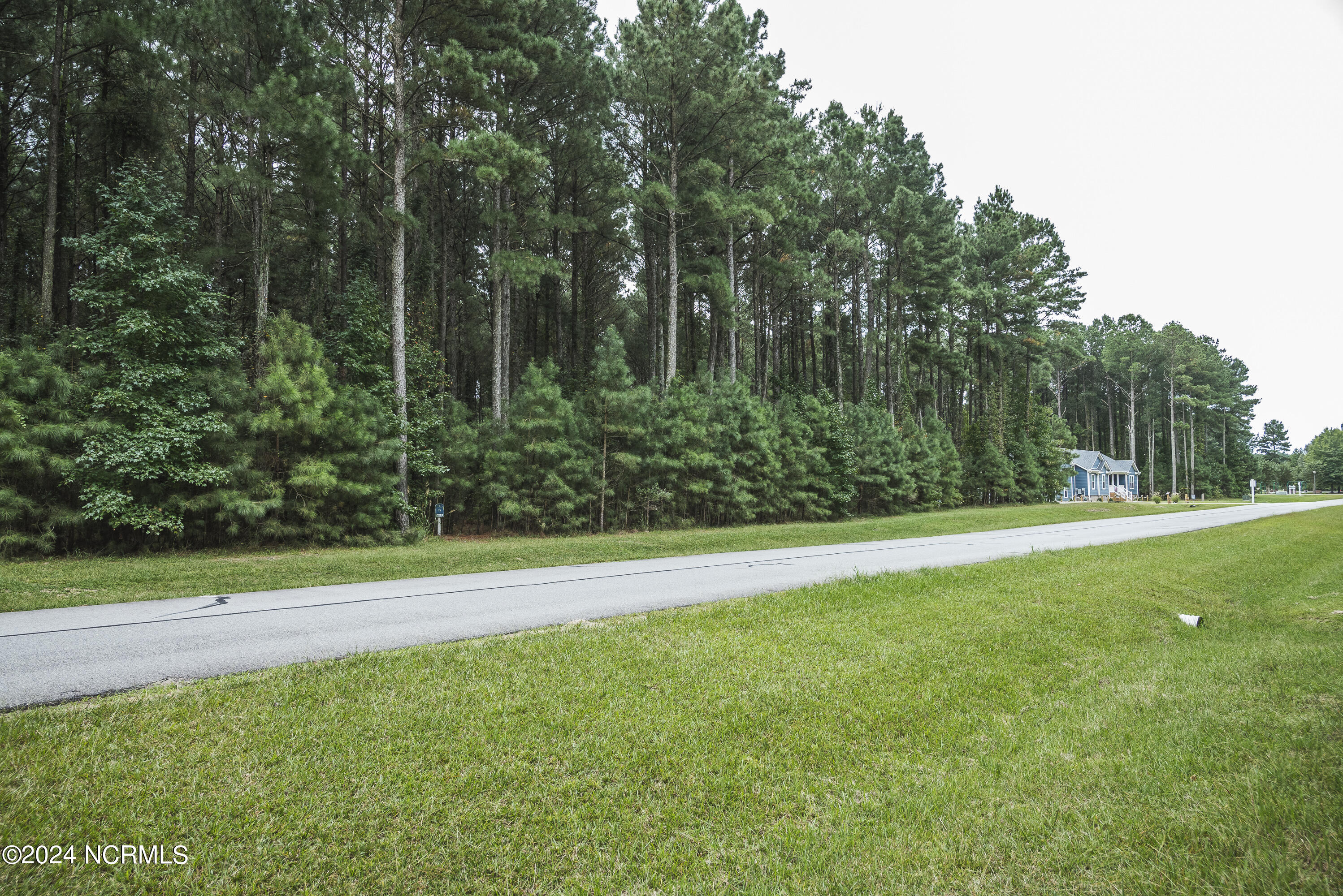 420 Riversound Drive Edenton, NC 27932 - Photo 5 of 14 Lot 87 Riversound 2 of 19