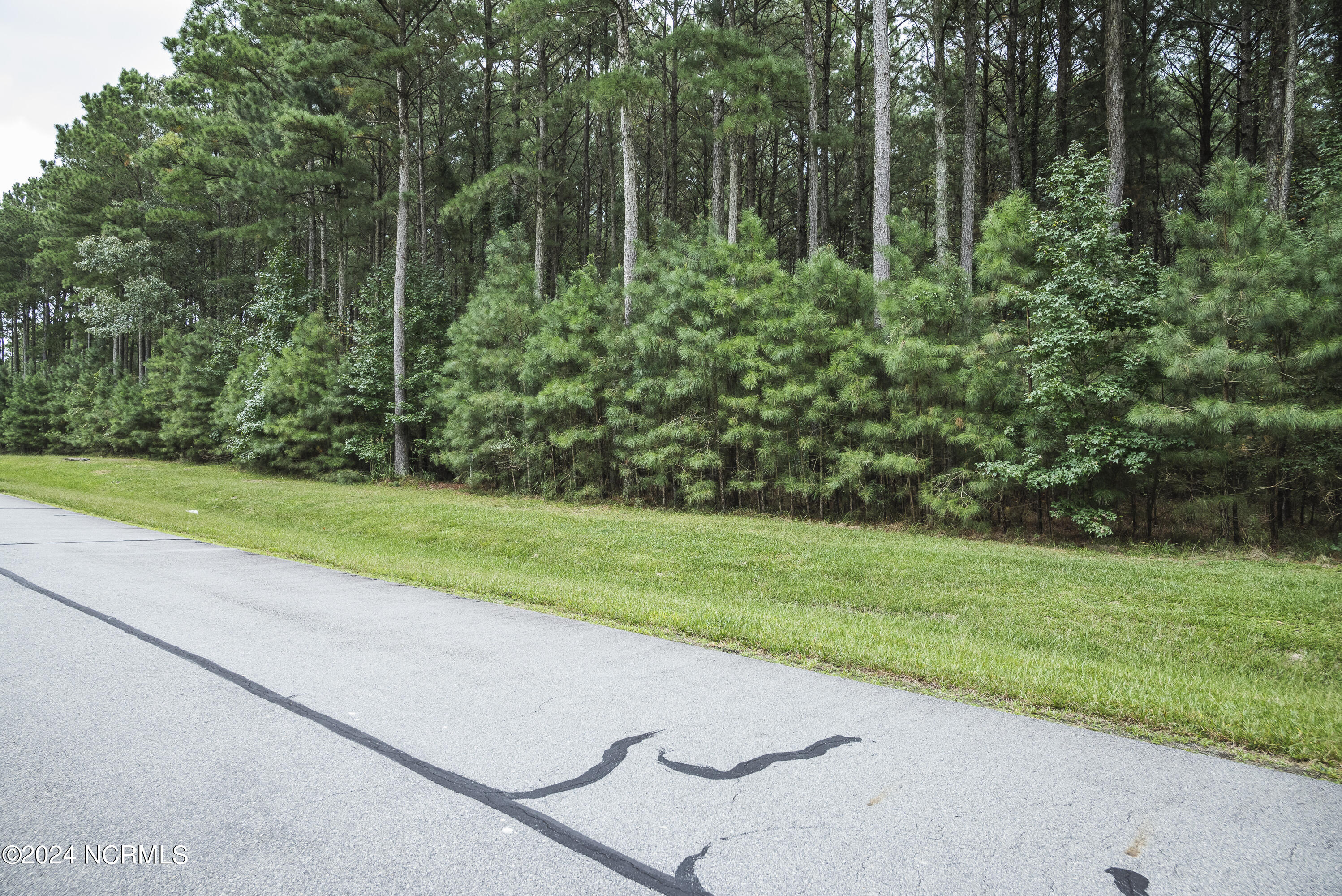 420 Riversound Drive Edenton, NC 27932 - Photo 6 of 14 Lot 87 Riversound 4 of 19