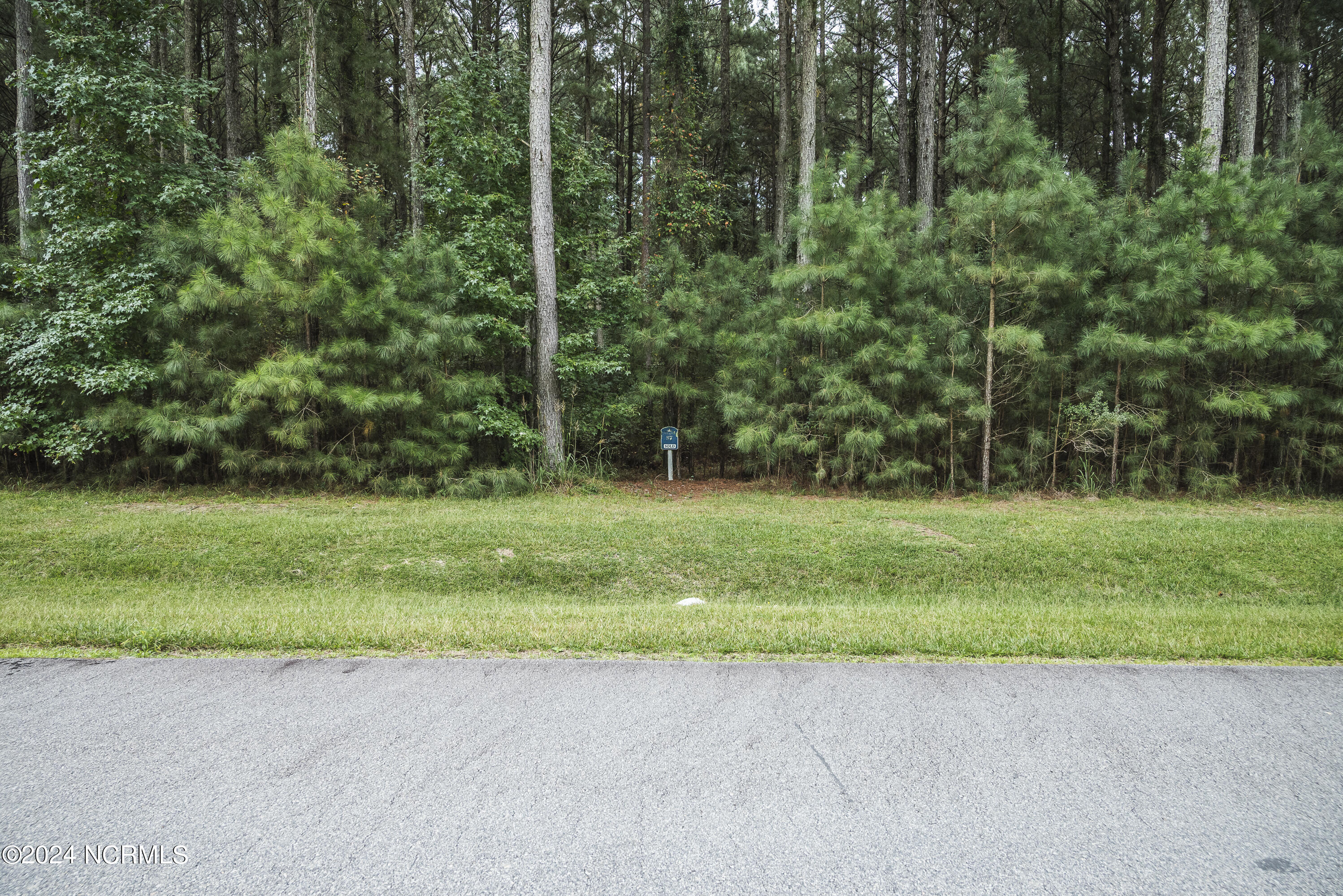 420 Riversound Drive Edenton, NC 27932 - Photo 7 of 14 Lot 87 Riversound 9 of 19