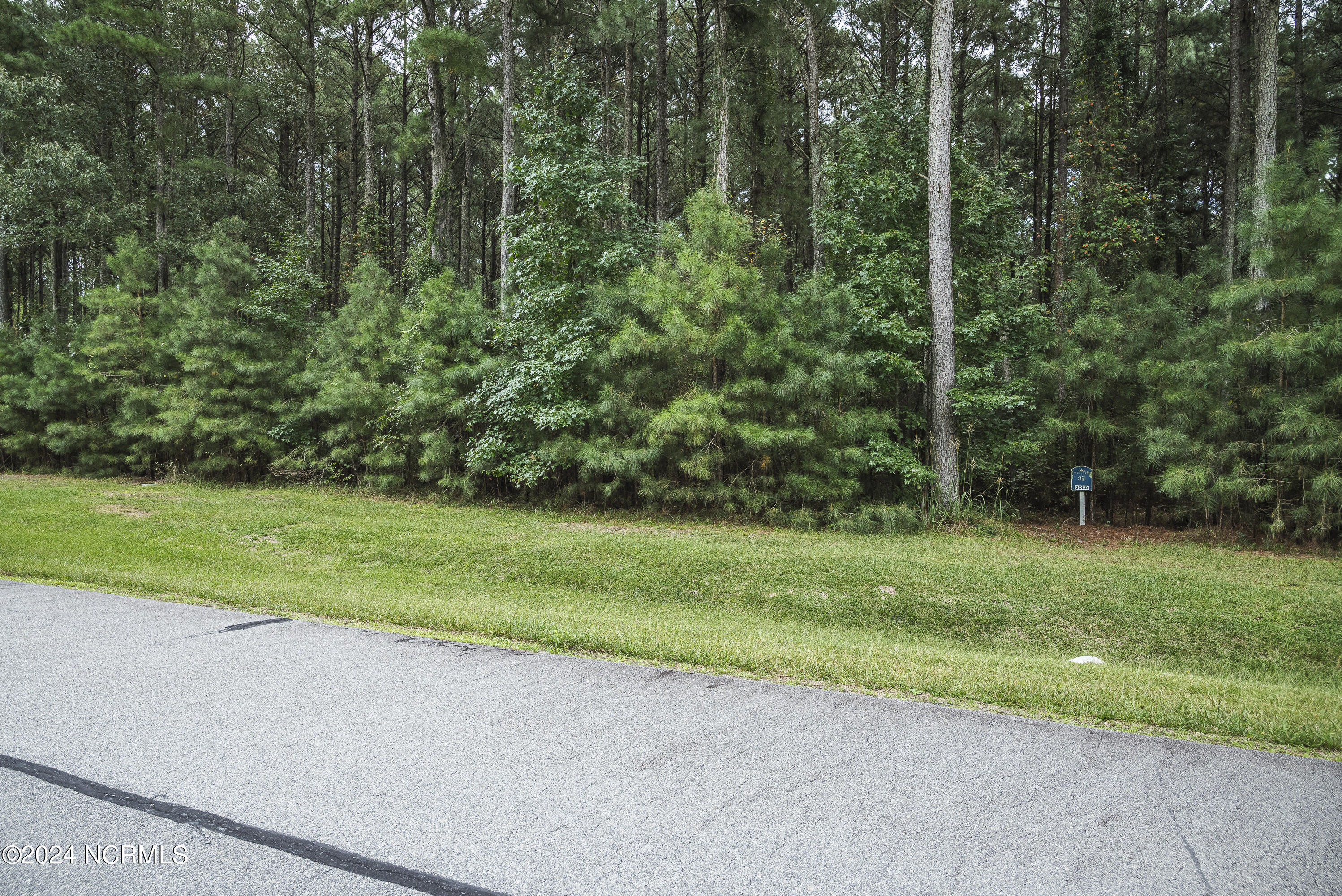 420 Riversound Drive Edenton, NC 27932 - Photo 8 of 14 Lot 87 Riversound 10 of 19