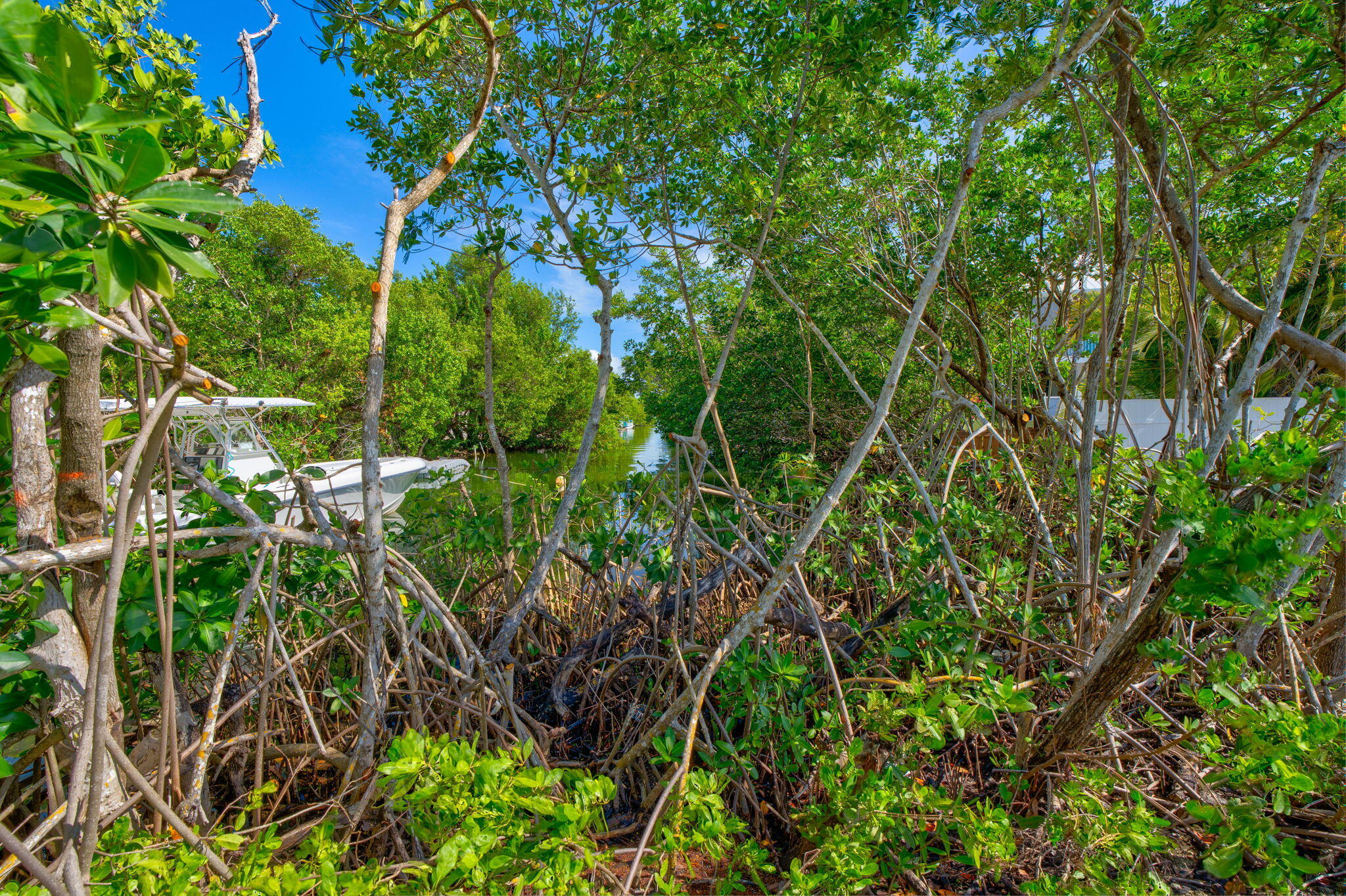 17215 Keystone Road Sugarloaf, FL 33042 - Photo 9 of 17 a view of a garden