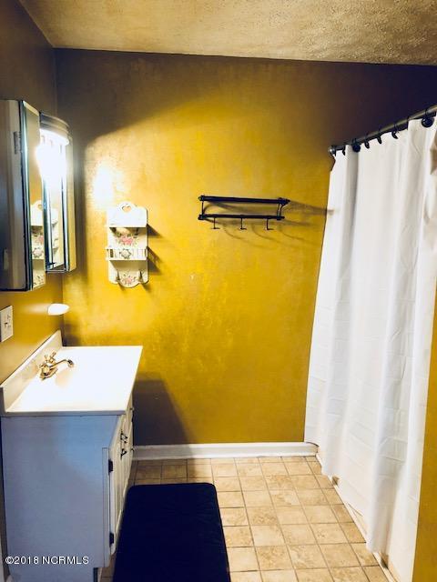 241 Bear Creek Road Hubert, NC 28539 - Photo 8 of 12 Master bath