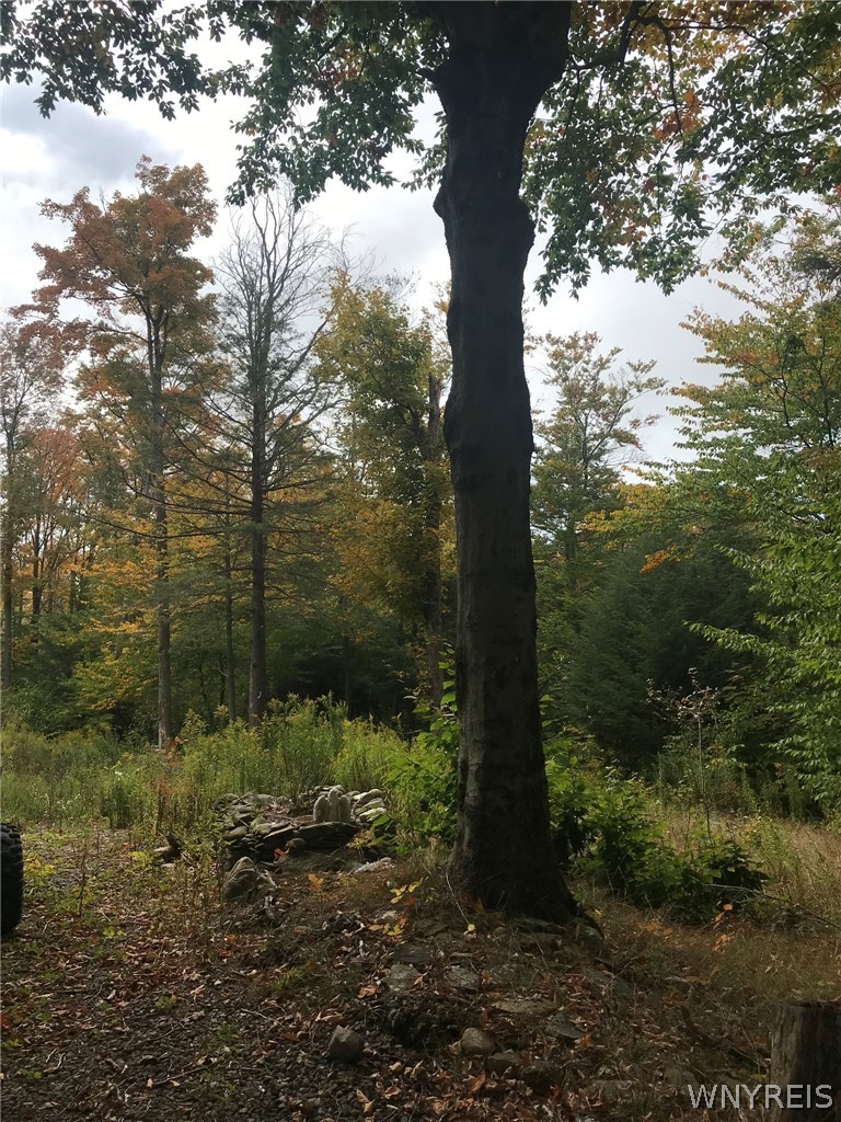 3436 Dunham Road Orangeville, NY 14569 - Photo 14 of 29