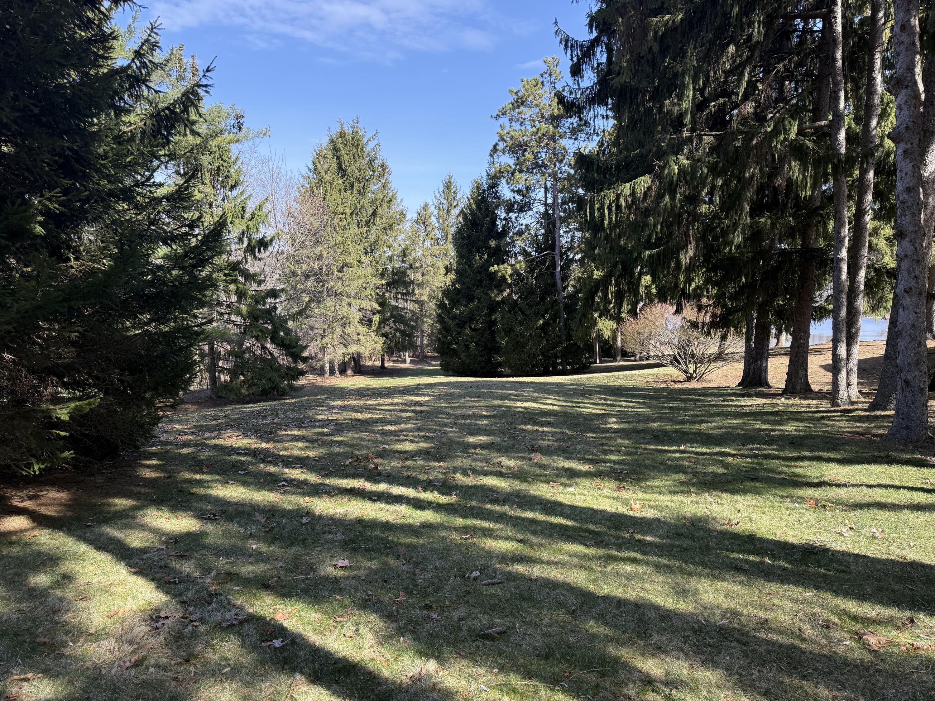 6150 Willow Road West Bloomfield, MI 48324 - Photo 63 of 68 F