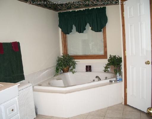 455 2 Lick Road Sutton, WV 26601 - Photo 8 of 8 Master Bath/Spa.