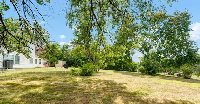 a view of yard with tree in the background