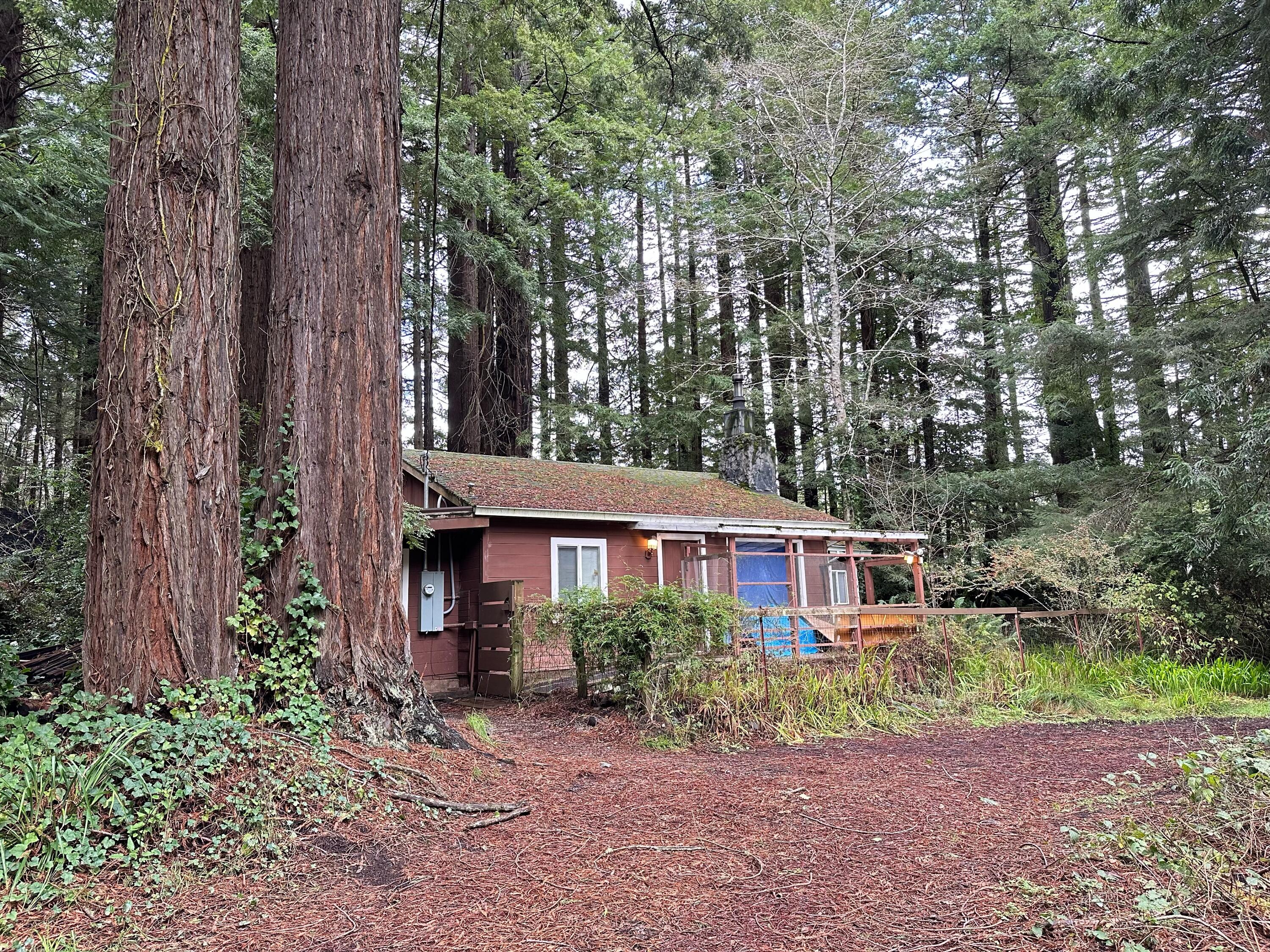 313-297 Quarry Road Trinidad, CA 95570 - Photo 46 of 46
