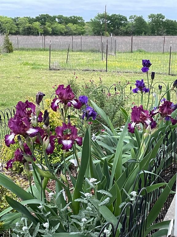 7844 County Road 502 Blue Ridge, TX 75424 - Photo 35 of 39