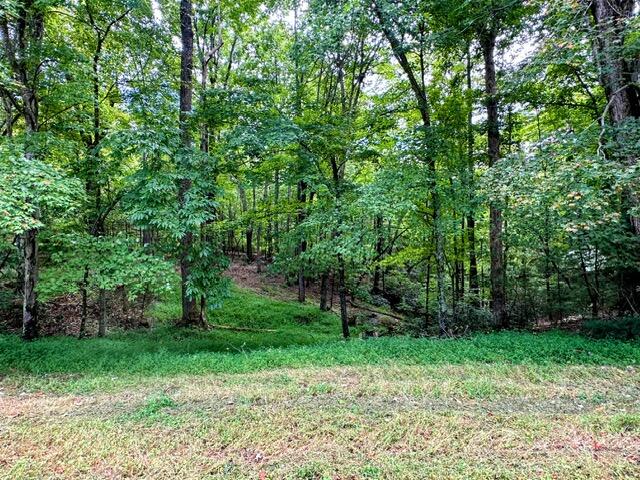 9540 Henry Road Henry, VA 24102 - Photo 29 of 47 IMG_9748