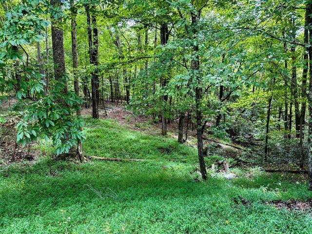 9540 Henry Road Henry, VA 24102 - Photo 31 of 47 IMG_9749