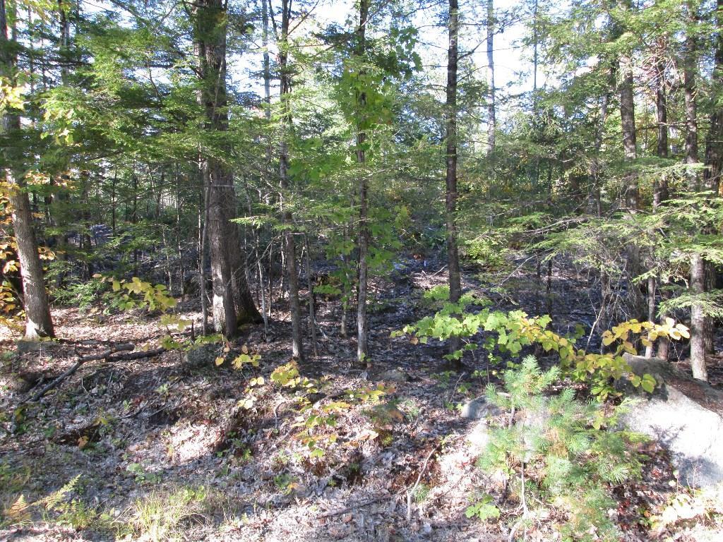 Oa Mansion Road Hollis Center, ME 04042 - Photo 11 of 11 Photo