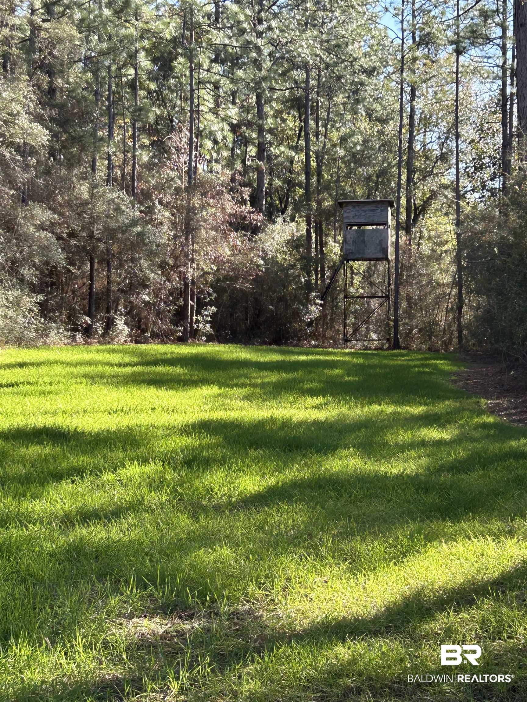 9550 A Sand Ridge Road Citronelle, AL 36522 - Photo 9 of 16 View of yard