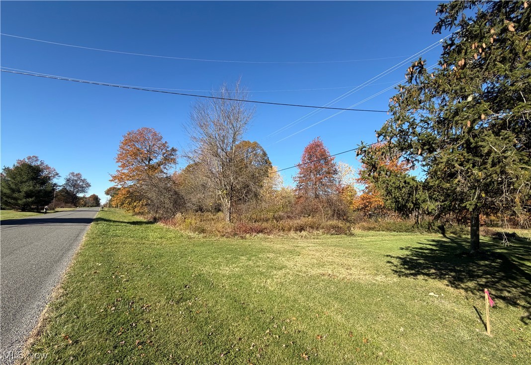 Capel Road Grafton, OH 44044 - Photo 6 of 7 View of grassy yard