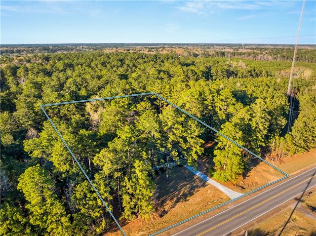 4494 Highway 8 Bentley, LA 71407 - Photo 37 of 44
